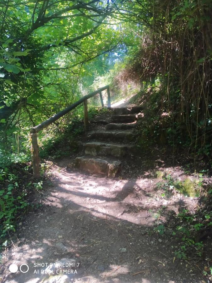 Alojamientos Sierra De Cadiz Benamahoma Exterior foto
