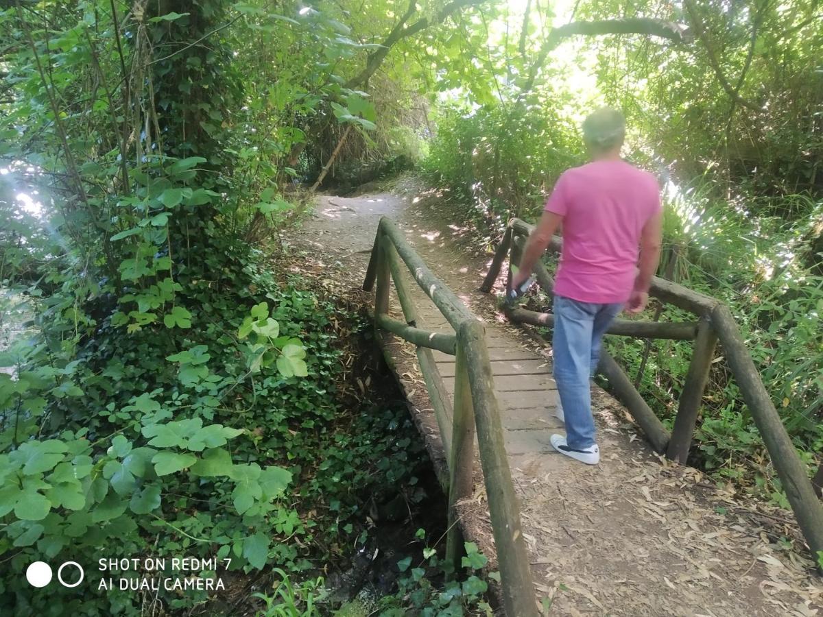 Alojamientos Sierra De Cadiz Benamahoma Exterior foto