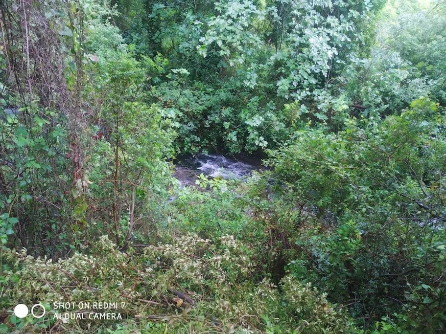 Alojamientos Sierra De Cadiz Benamahoma Exterior foto