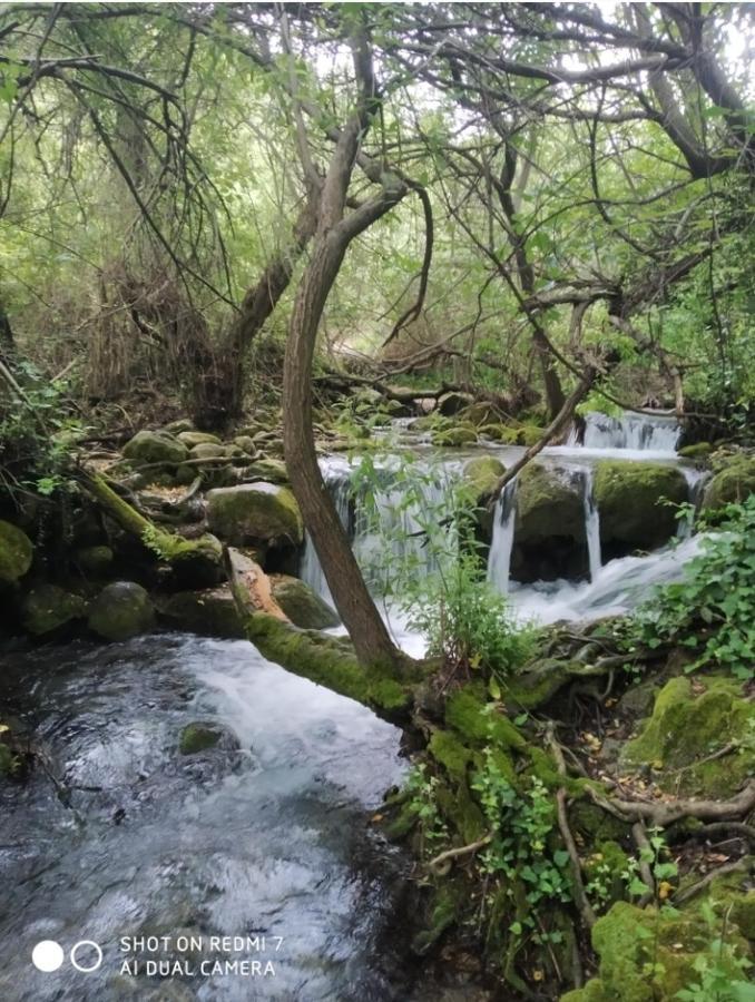 Alojamientos Sierra De Cadiz Benamahoma Exterior foto